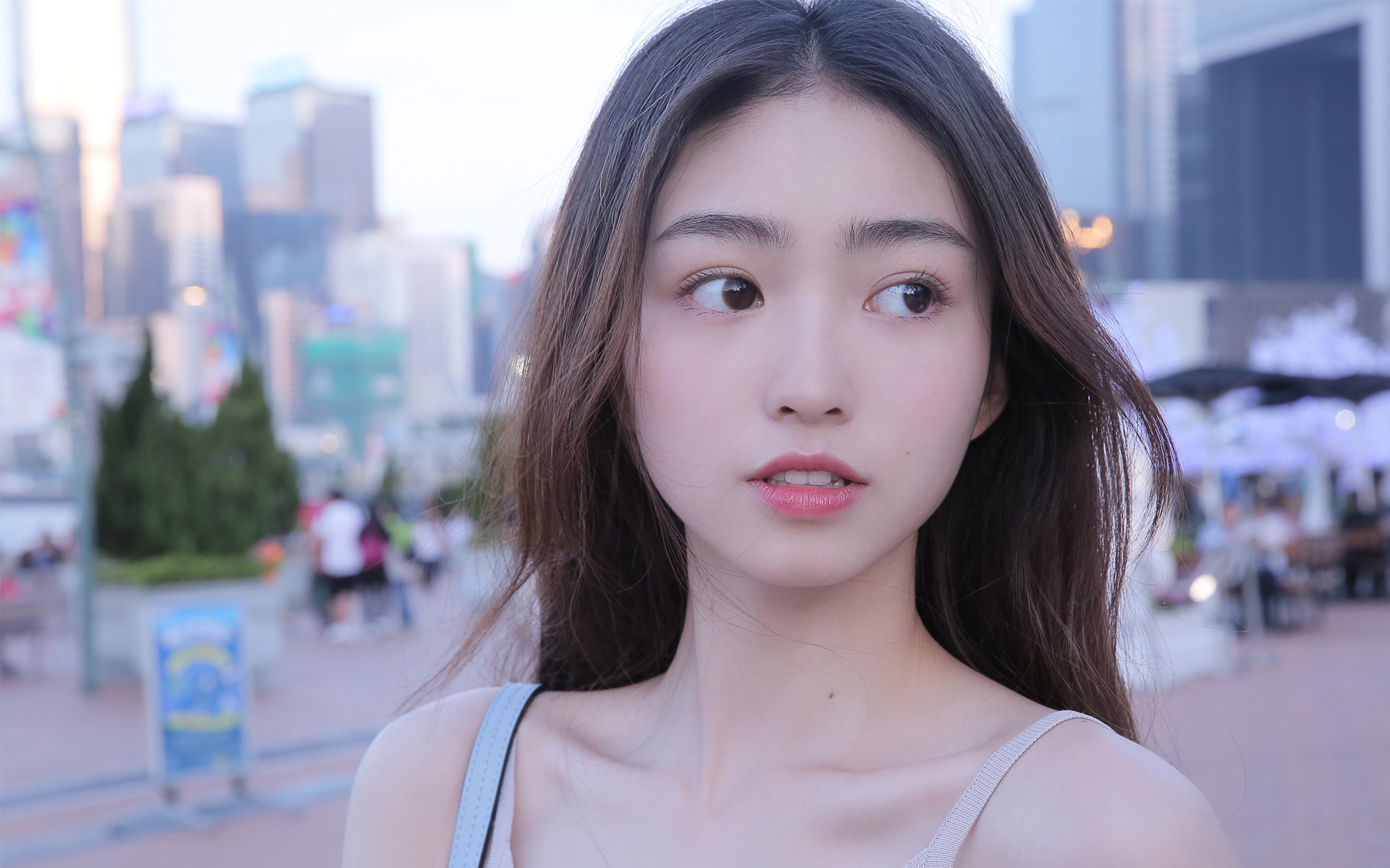 旧城灯火封面